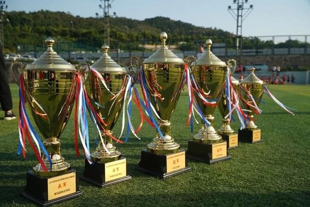 凯尔特人4-1独行侠夺队史第18冠 布朗荣获FMVP